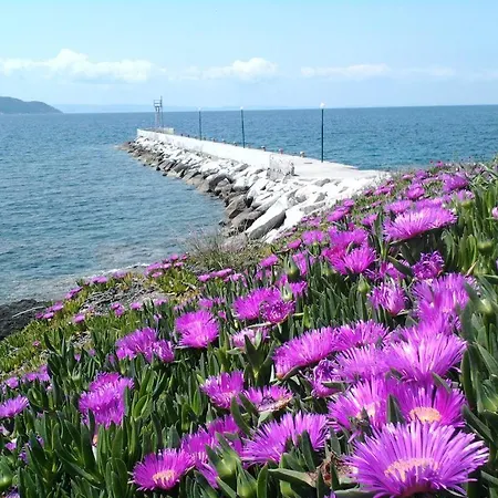 Gæstehus In Bb - Welcome To Petunia, In Neos-marmaras,xalkidiki ,greece, Triple 4 *